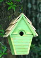Heartwood Wren-In-The-Wind Birdhouse, Green Apple