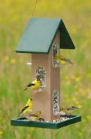 Songbird Essentials Tube Bird Feeder with Seed Tray - 4 Quart Capacity