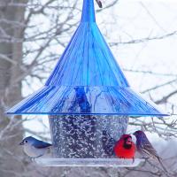 Arundale Sky Cafe Blue Hopper Style Bird Feeder