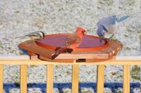 Songbird Essentials Cedar Heated Deck Bird Bath