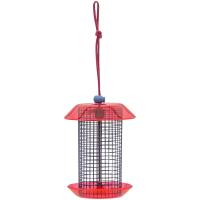 Bird's Choice Small Sunflower Seed Feeder, Color Pop Collection Blue and Fuchsia