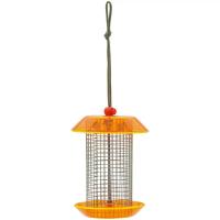 Bird's Choice Small Sunflower Seed Feeder, Color Pop Collection Light Green and Orange