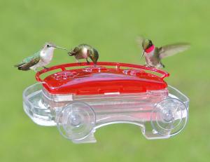 Hummingbird Feeders by Aspects