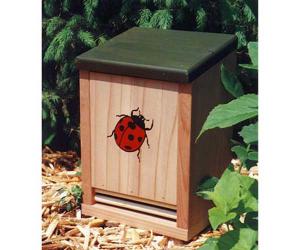 Bug & Insect Houses & Boxes by Schrodt
