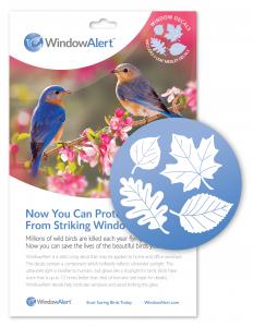 Birding & Animal Related Items by Window Alert