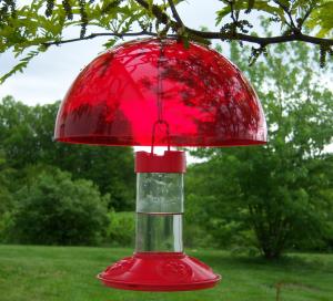 Hummingbird Feeders by Songbird Essentials