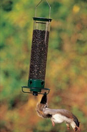 electronic spinning squirrel proof bird feeder